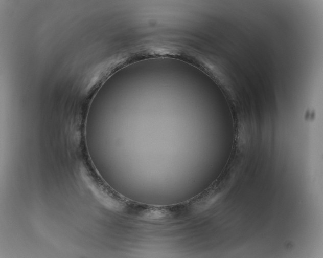 X0000110970402200906191340