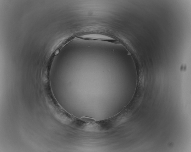 X0000110970403200906191340