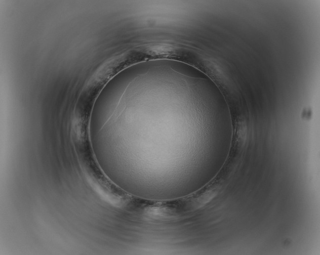 X0000110970408200906191340