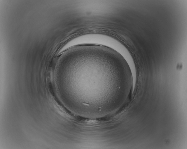 X0000110970409200906191340