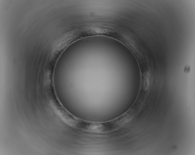 X0000110970410200906191340