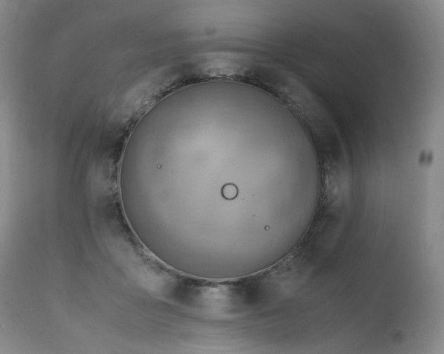 X0000110970411200906191340