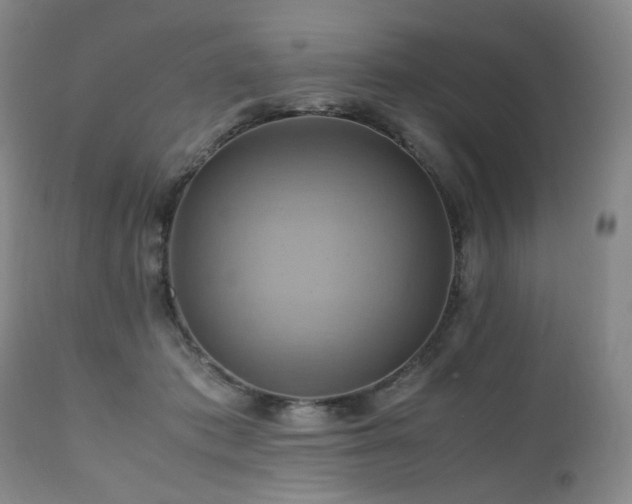 X0000110970413200906191340