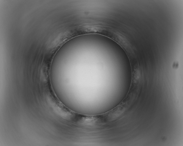 X0000110970414200906191340