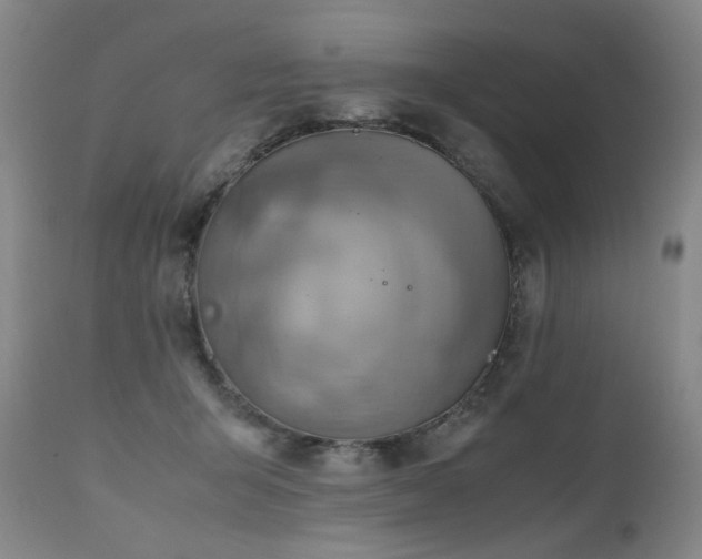 X0000110970415200906191340