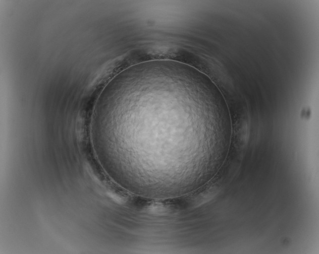 X0000110970416200906191340