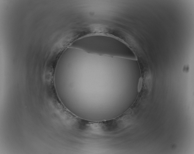 X0000110970417200906191340