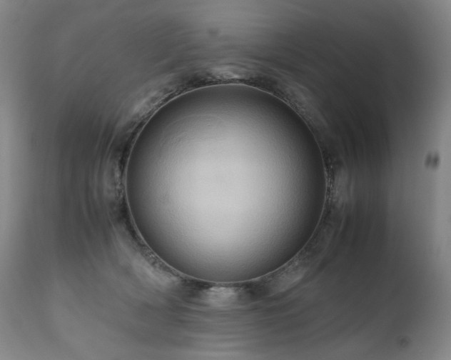 X0000110970418200906191340