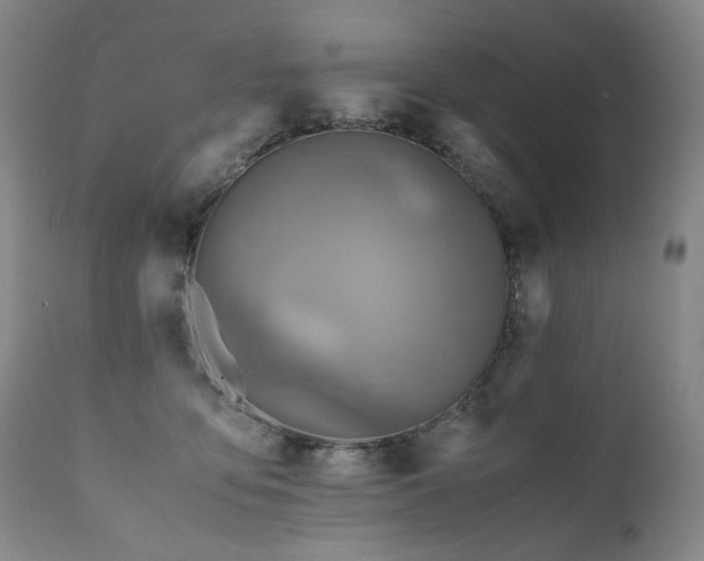 X0000110970419200906191340