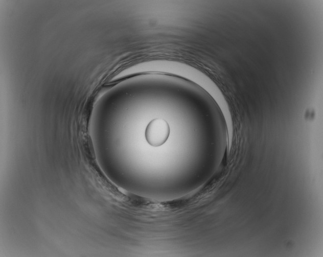 X0000110970421200906191340