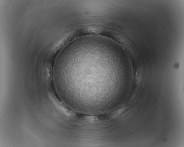 X0000110970424200906191340