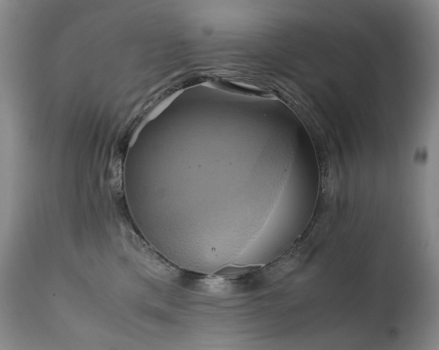 X0000110970425200906191340