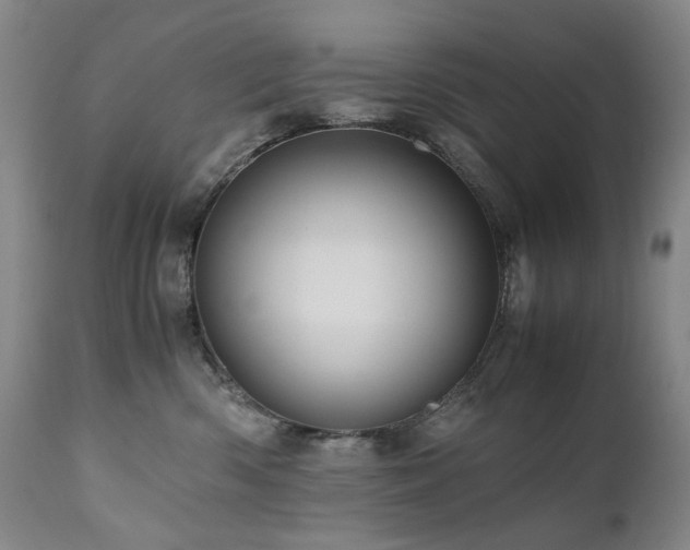 X0000110970426200906191340