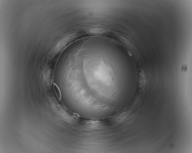 X0000110970428200906191340