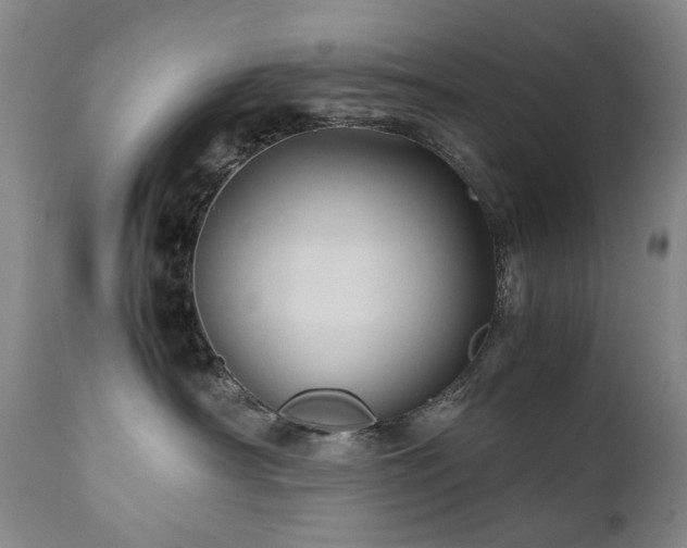 X0000110970430200906191340