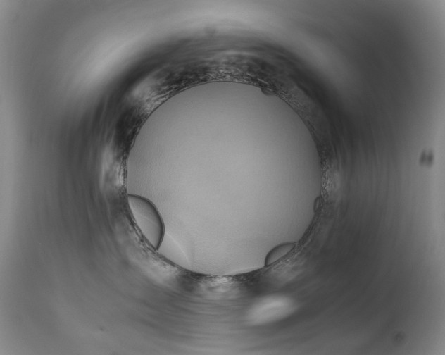 X0000110970431200906191340