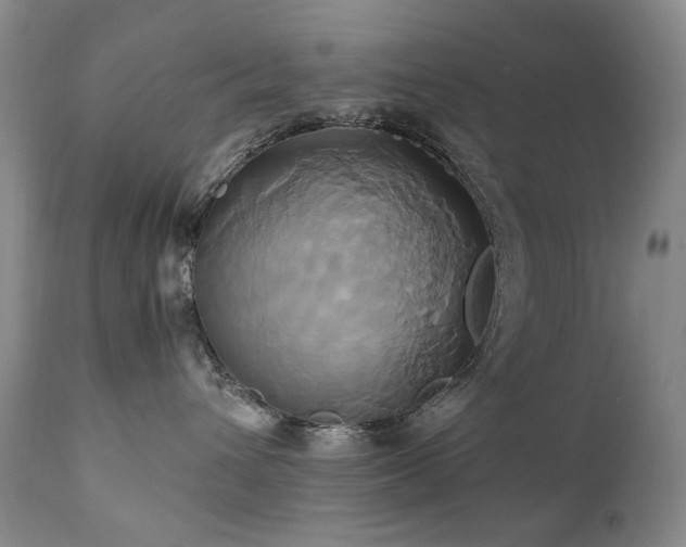 X0000110970432200906191340