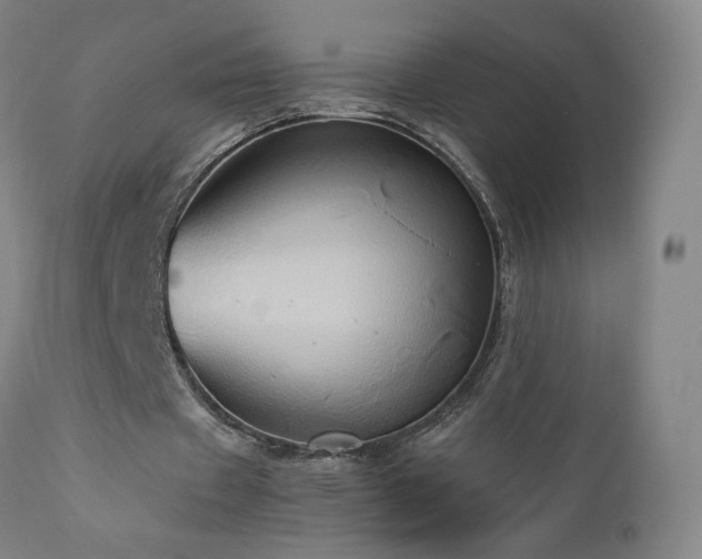 X0000110970433200906191339