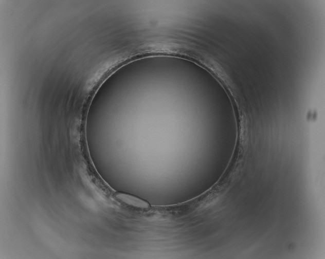 X0000110970434200906191339