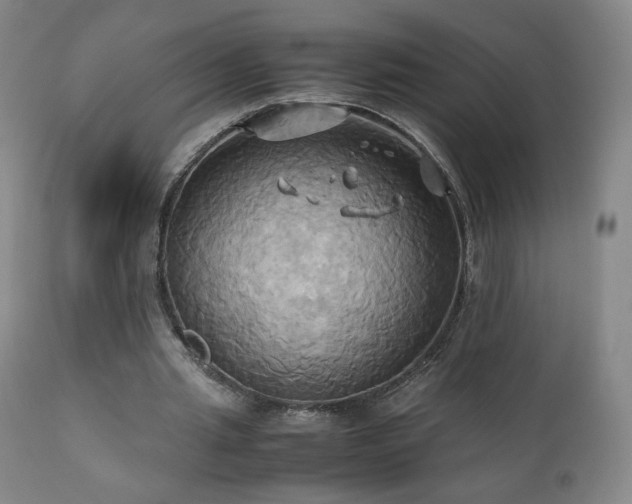 X0000110970437200906191339