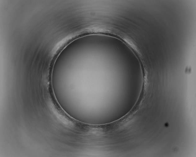 X0000110970438200906191339