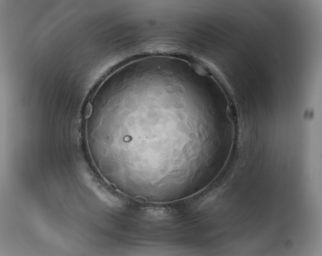 X0000110970439200906191339