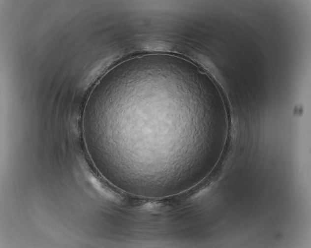 X0000110970441200906191339