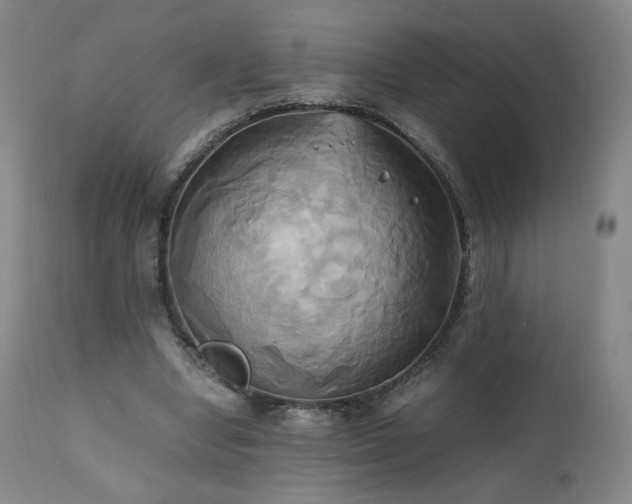 X0000110970442200906191339