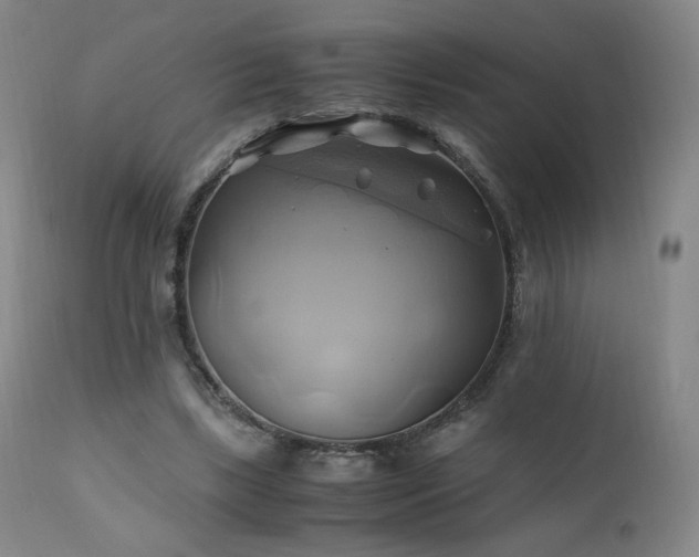 X0000110970443200906191339