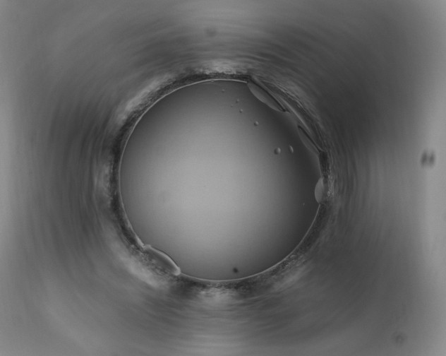 X0000110970444200906191339