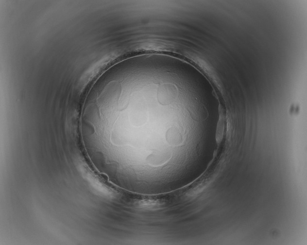 X0000110970445200906191339