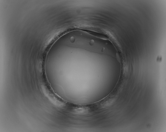 X0000110970447200906191339