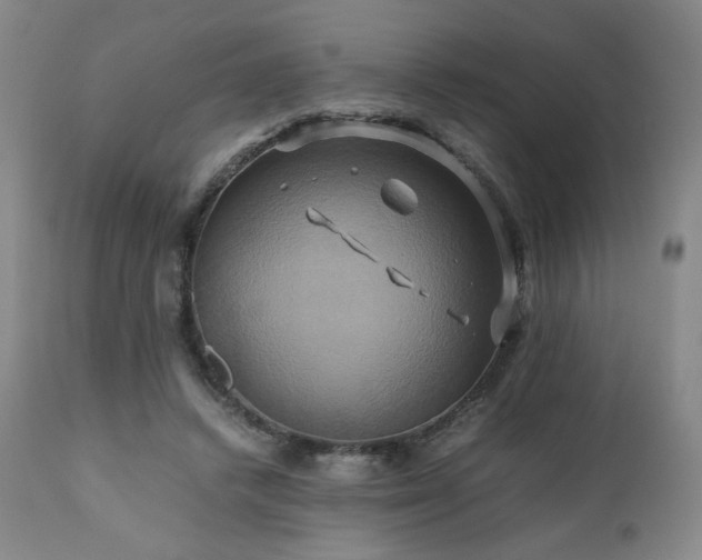 X0000110970448200906191339