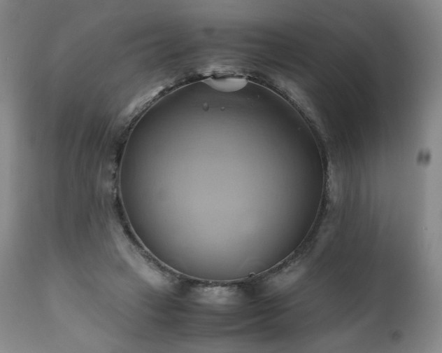 X0000110970449200906191339