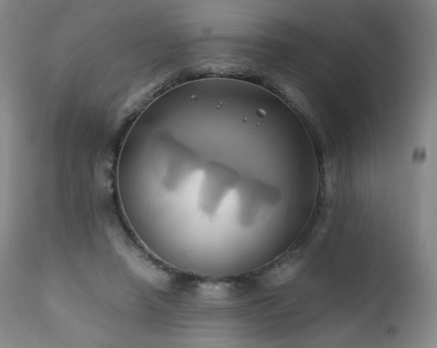 X0000110970450200906191339