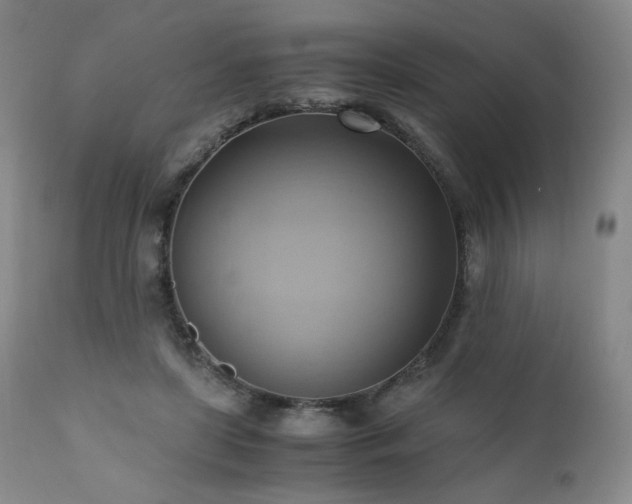 X0000110970451200906191339