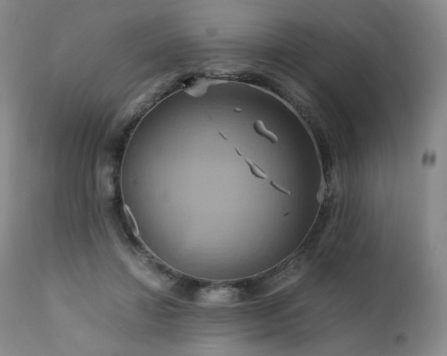 X0000110970452200906191339