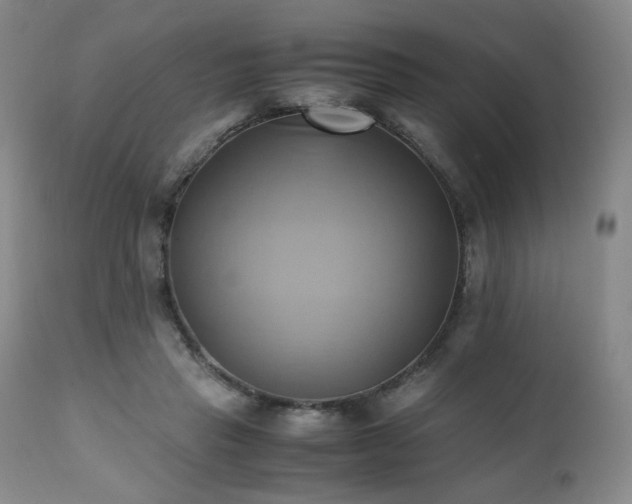 X0000110970453200906191339