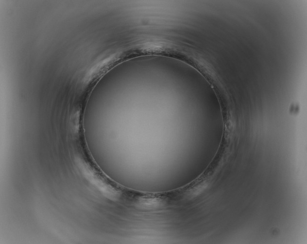 X0000110970454200906191339