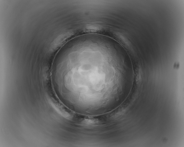 X0000110970455200906191339