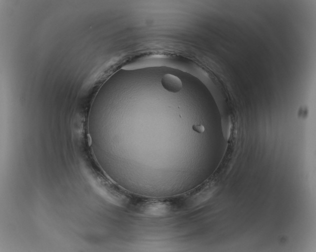 X0000110970456200906191339