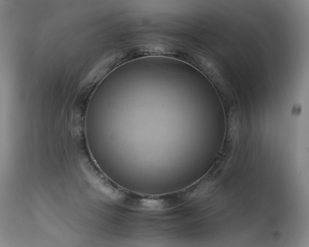 X0000110970457200906191339