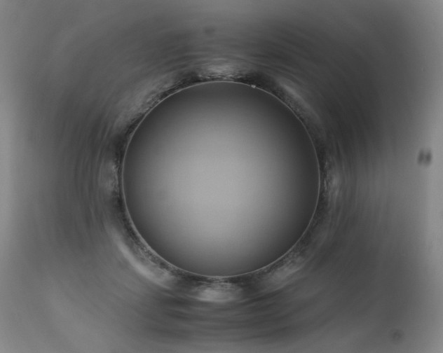 X0000110970459200906191339