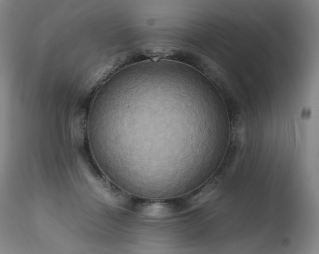 X0000110970460200906191339