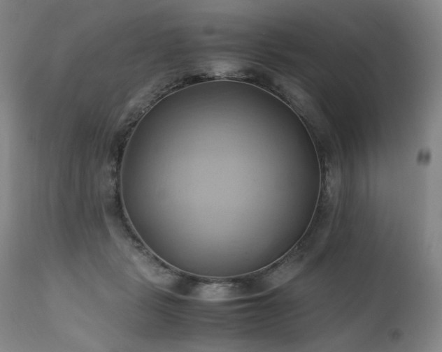 X0000110970461200906191339