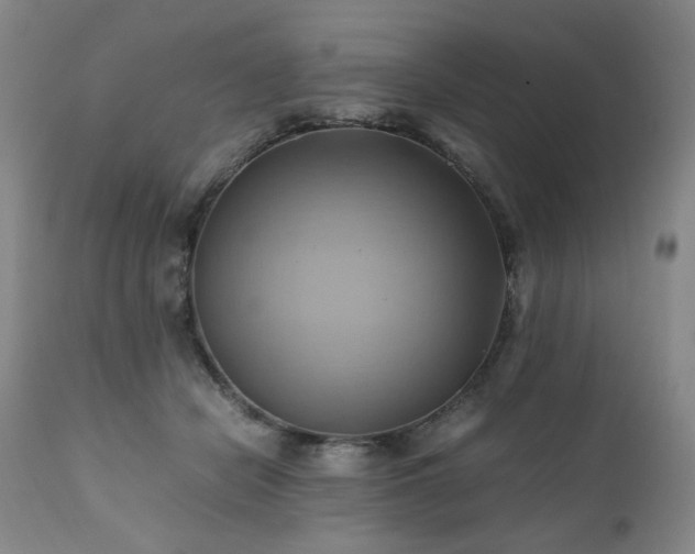 X0000110970462200906191339