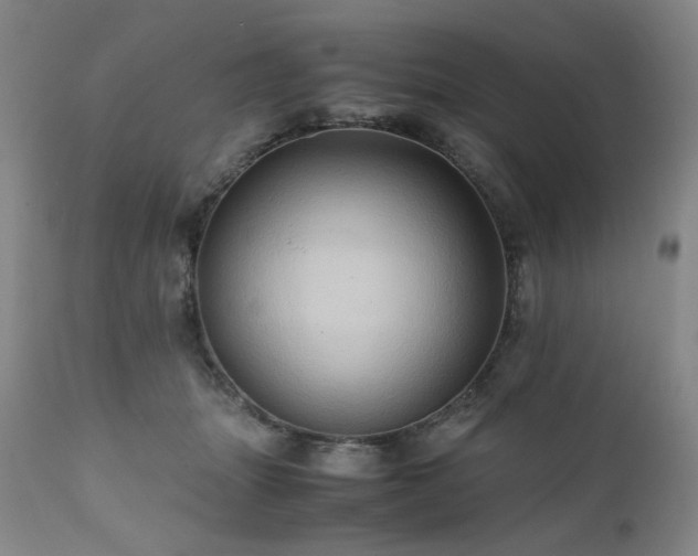 X0000110970463200906191339