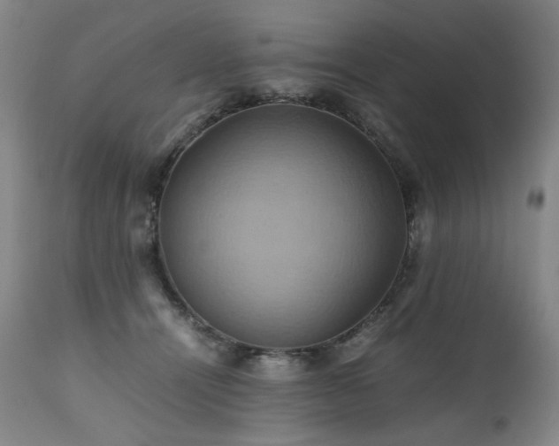 X0000110970464200906191339