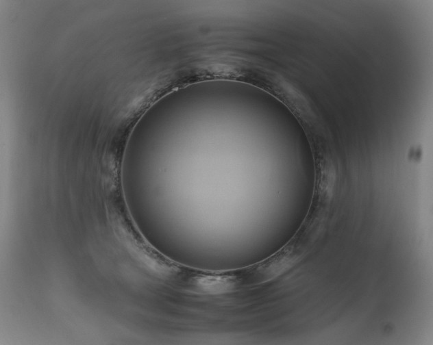 X0000110970465200906191339