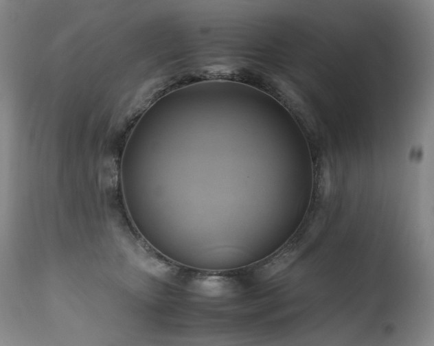 X0000110970467200906191339